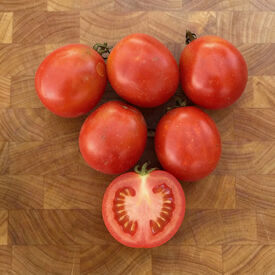 Siberian, Tomato Seeds